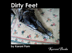 Dirty feet product image