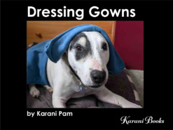 dressing gowns product image